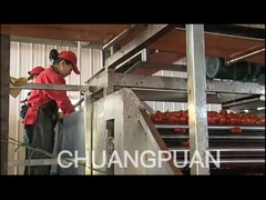 Comment la pâte de tomate est-elle fabriquée dans une grande usine?