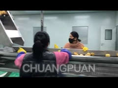 Comment le jus de fruits est-il produit en usine?Voyons comment fonctionne la ligne de transformation du jus de poire