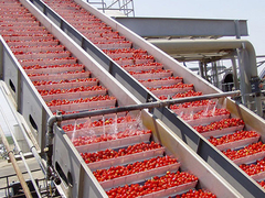 Chaîne de production automatique de sauce tomate