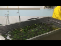 Comment traiter la pâte d'avocat HPP ou refroidir?